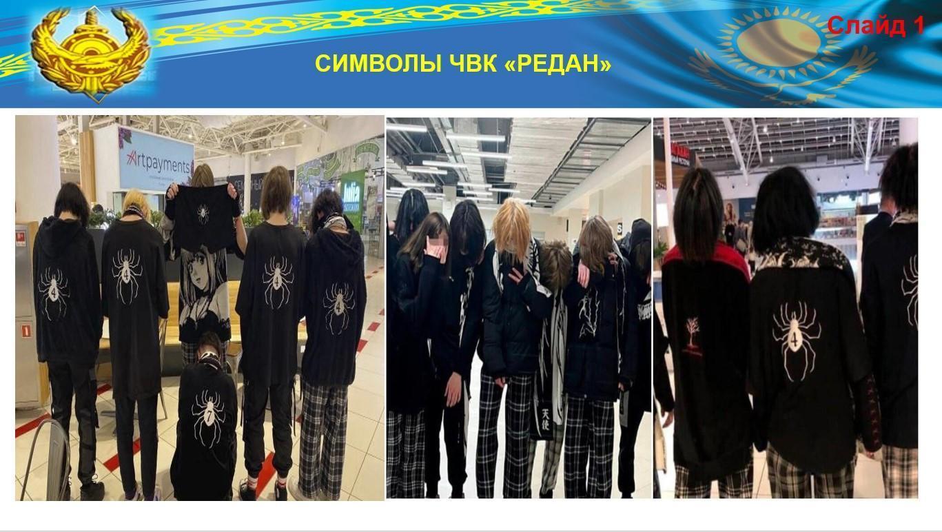 «Рұқсат етілмеген бұқаралық іс-шараларға қатысқаны үшін жауапкершілік. Әлеуметтік желілер арқылы манипуляция.» PMC Redan дегеніміз не және оның анимеге қандай қатысы бар