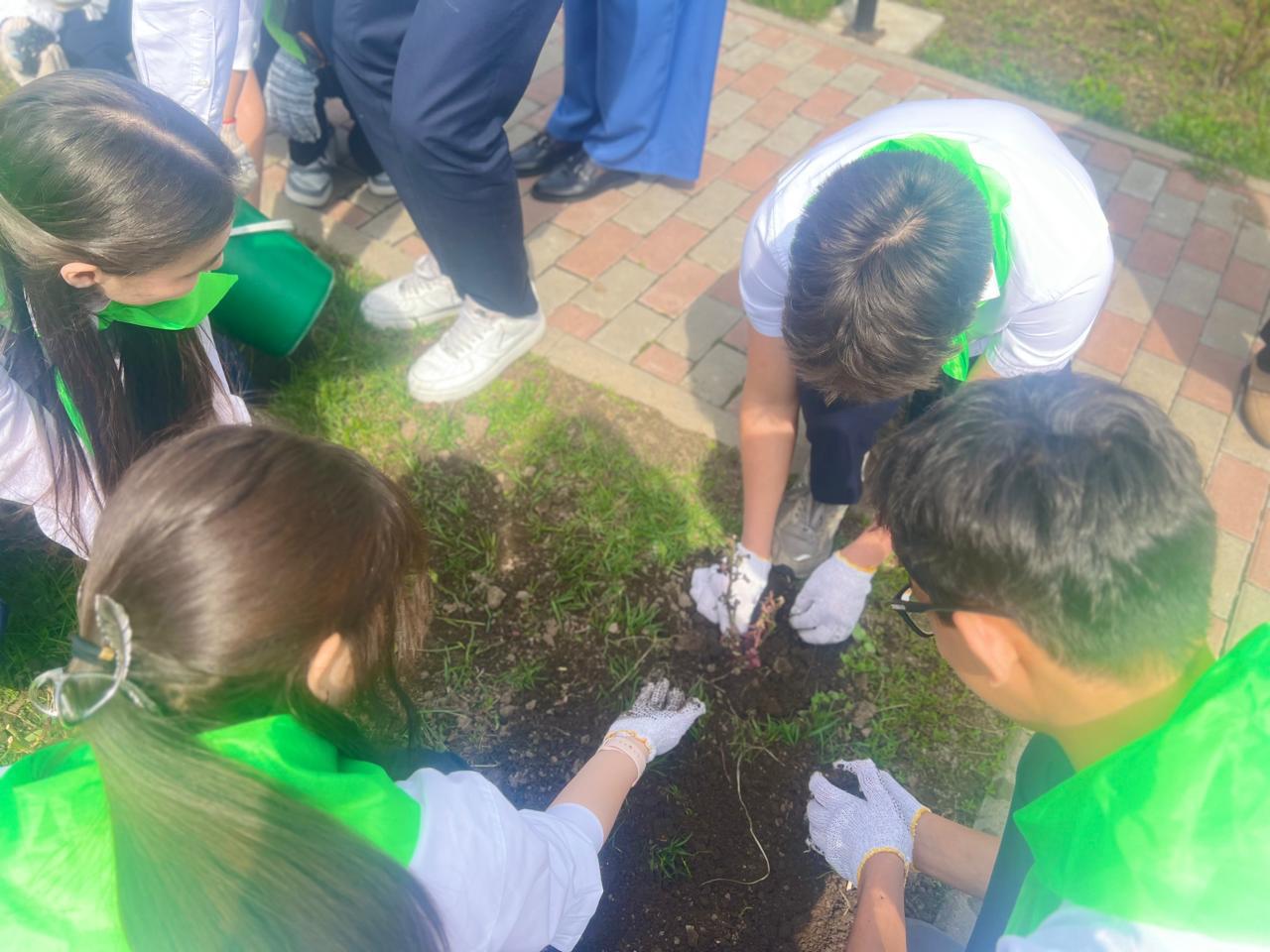 «Түлектер аллеясы» экологиялық акциясы